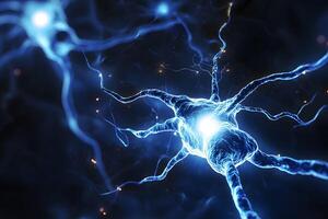 A close up of a neuron in a dark background photo