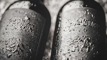 Close up of Two Cold Sweaty Beer Bottles with Water Droplets photo