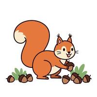 Cute orange squirrel gathering acorns in a playful manner, minimal illustration vector