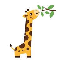 Playful giraffe with a green leaf in its mouth in flat art vector