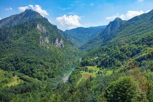 Exploring a serene valley surrounded by majestic mountains and lush greenery in the afternoon photo