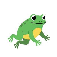 Green frog character in playful pose with friendly expression, flat art vector