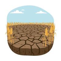 Dry, cracked earth with golden wheat stalks in a sunny, minimal illustration vector