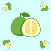 pomelo fruit seamless for pattern fabric, simple pomelo fruit cute repeat in square background, illustration fruit pattern vector