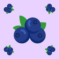 blueberry fruit seamless for pattern fabric, simple blueberry fruit cute repeat in square background, illustration fruit pattern vector