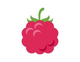 raspberry illustration for coloring book template, raspberry for kids worksheet printable vector