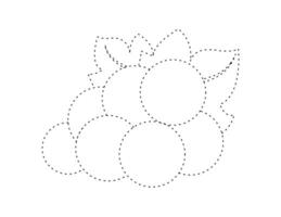 dashed grape outline for coloring book template, grape for kids illustration worksheet printable vector