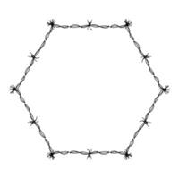 wire barb silhouette frame, hexagon shape, wire frame graphic art line vector