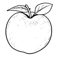 A Detailed Line Drawing Of A Single Apple vector