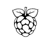 Stylized Raspberry Illustration A Black And White Design vector