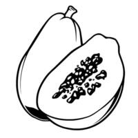 A Simple Line Drawing Of A Whole And Halved Papaya Fruit vector