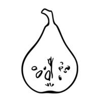 Simple Line Drawing Of A Halved Pear Showing Seeds vector