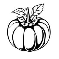 A Simple Line Drawing Of A Single Persimmon Fruit With Leaves vector