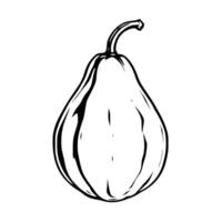 A Simple Line Drawing Of A Single Ripe Pear Fruit vector
