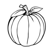 Simple Line Drawing Of A Round Pumpkin With Leaves vector
