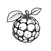 A Detailed Line Drawing Of A Single Cloudberry With Leaves vector