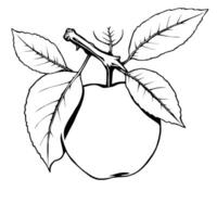 A Single Apple on Branch with Leaves Stylized Drawing vector