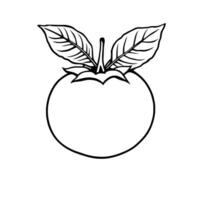 Illustration Of A Single Ripe Persimmon Fruit With Leaves vector