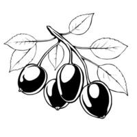 Black And White Illustration Of Berries On A Branch With Leaves vector
