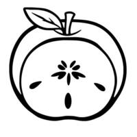A Simple Line Drawing Of A Halved White Apple With Seeds vector
