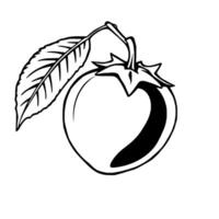 Single Ripe Tomato with Leaf Simple Line Drawing Illustration vector