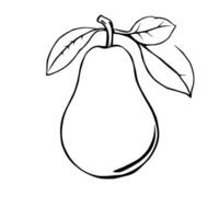 Simple Line Drawing Of A Pear With Leaves Isolated vector