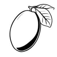 Simple Line Drawing Of A Single Oval Fruit With Leaves vector