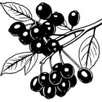 Black And White Illustration Of A Branch With Abundant Berries And Leaves vector