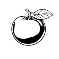 A Classic Black And White Of A Single Apple With Leaf vector