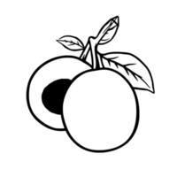 Line Art Illustration Of Two Ripe Peaches On A Branch With Leaves vector