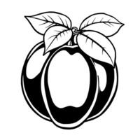 Stylized Graphic Illustration Of A Single Plum With Leaves vector