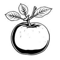 Of A Single Apple With Leaves vector