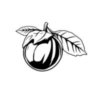 Stylized Black And White Illustration Of A Single Round Fruit With Leaves vector
