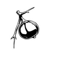Stylized Black And White Illustration Of A Single Berry On A Stem vector