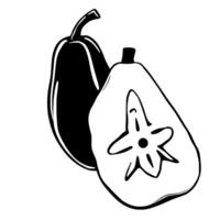 Simple Line Drawing Of A Whole And Halved Pear vector