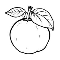 Simple Line Drawing Of A Single Quince Fruit With Leaves vector