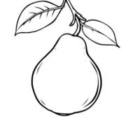 Line Art Drawing Of A Single Pear On Branch With Leaves vector