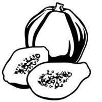 Whole Papaya And Two Halves A Simple Line Drawing vector