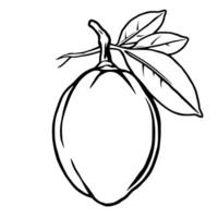 Line Art Drawing Of A Single Mango With Leaves vector