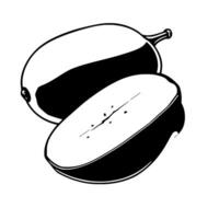 A Simple Graphic Depiction Of A Halved Grape Showing Its Seeds And Pulp vector