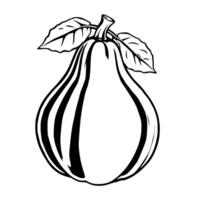A Black And White Illustration Of A Single Pear With Leaves vector