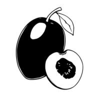 A Simple Illustration Of A Whole Fig And A Fig Half vector