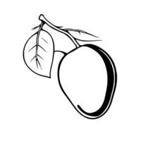 Line Drawing Of A Ripe Mango On The Branch With Leaves vector