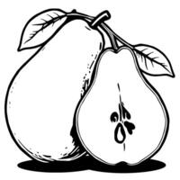 A Whole Pear And A Halved Pear With Leaves Illustration vector