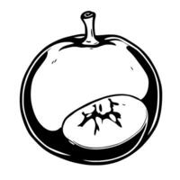 Stylized Graphic Of A Whole And Sliced Round Fruit vector