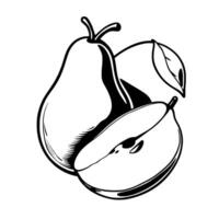 A Simple Line Drawing Of A Pear And A Sliced Apple vector