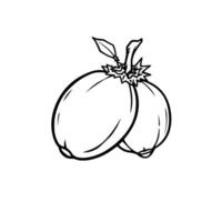 Line Drawing Of Two Round Fruits Connected At The Stem vector