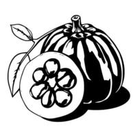 A Halved Tropical Fruit With Red Seeds and Leaves vector
