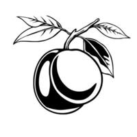 Stylized Black And White Drawing Of A Plum On A Branch With Leaves vector