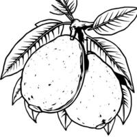 Line Art Drawing Of Two Guavas On Branch With Leaves vector